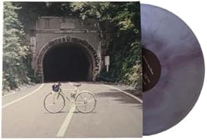 When We Were Friends (Limited Edition 12" Galaxy Colored Vinyl LP) por The Backseat Lovers (Artist) — capa do álbum