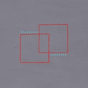 Cardinal [Disco de Vinil] por Pinegrove — capa do álbum
