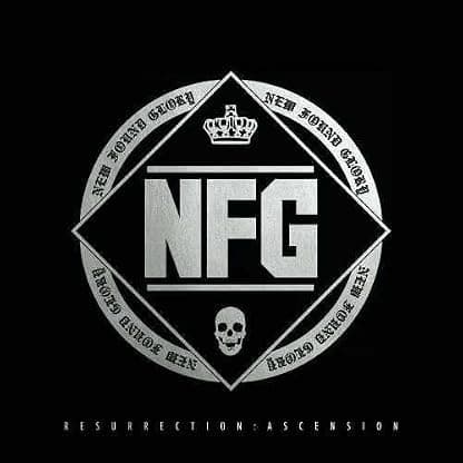 Resurrection: Ascension [Disco de Vinil] por New Found Glory — capa do álbum