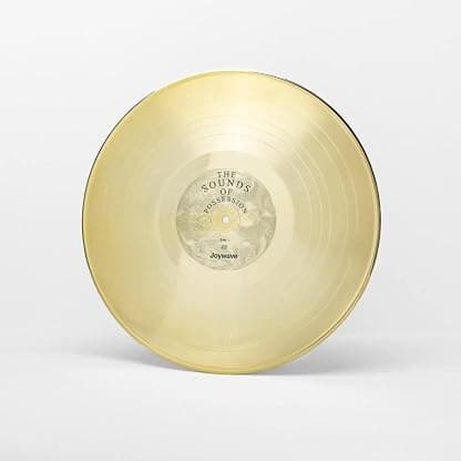 Possession [LP] por Joywave — capa do álbum