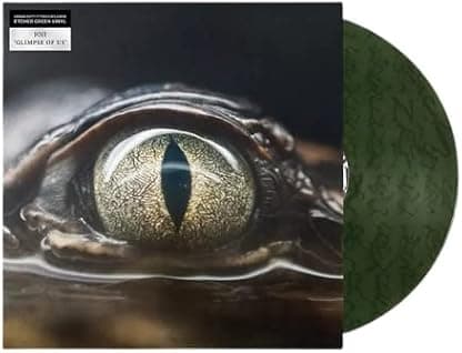 Glimpse Of Us (Limited to 5000 Copies Forest Green Colored Vinyl 12" Single) por Bob — capa do álbum
