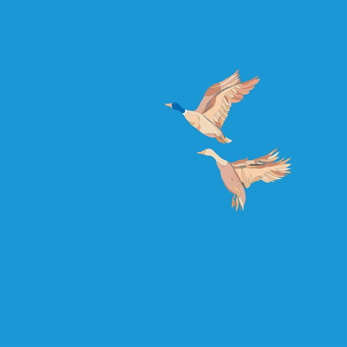Hallo & Ciao [Vinyl LP] por N.i.k.o. — capa do álbum