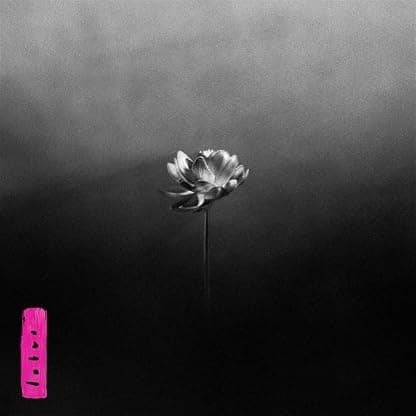 LOTUS (輸入盤） [Analog] por Little Simz — capa do álbum