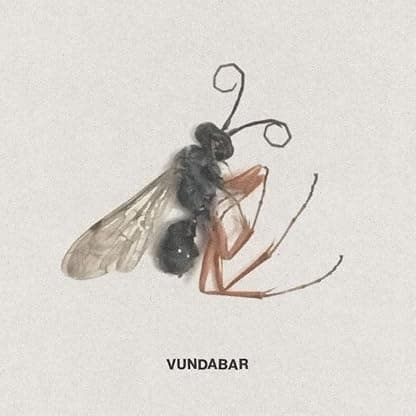 Good Old (Colored Vinyl) por Vundabar — capa do álbum