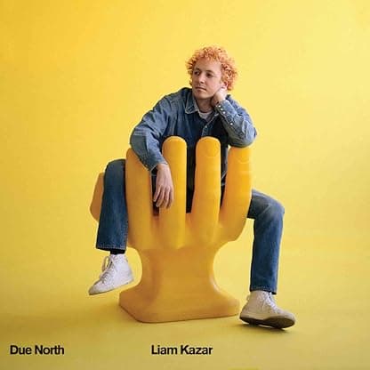Due North [Disco de Vinil] por Liam Kazar — capa do álbum