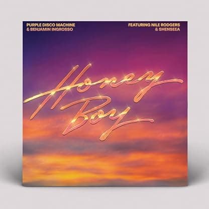 Honey Boy por Purple Disco Machine — capa do álbum