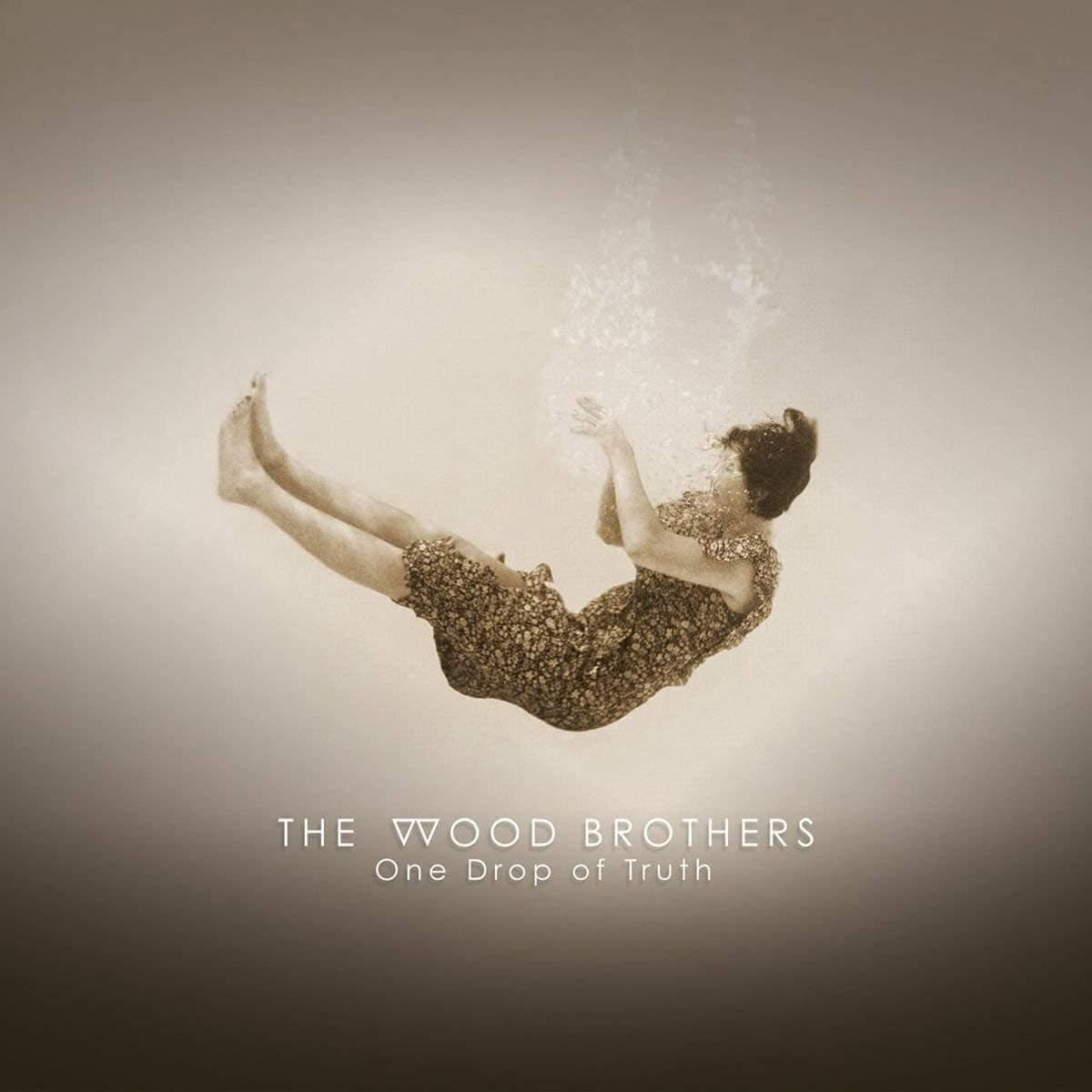 One Drop Of Truth [Disco de Vinil] por The Wood Brothers — capa do álbum