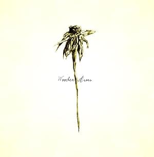 WOODEN ARMS por Patrick Watson — capa do álbum