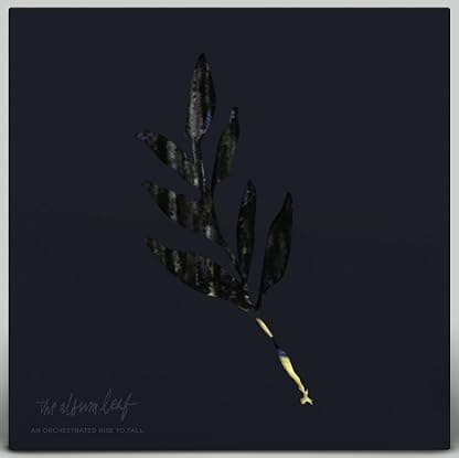 An Orchestrated Rise To Fall [Disco de Vinil] por The Album Leaf — capa do álbum