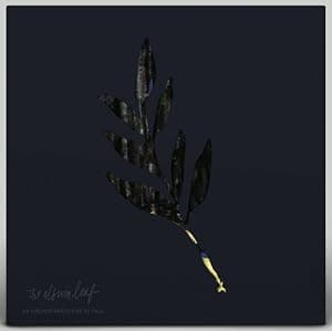 An Orchestrated Rise To Fall [Disco de Vinil] por The Album Leaf — capa do álbum