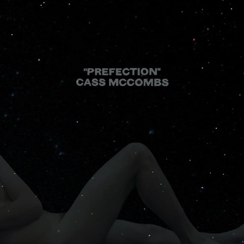 PREfection [VINYL] por Cass McCombs — capa do álbum