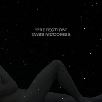 PREfection [VINYL] por Cass McCombs — capa do álbum