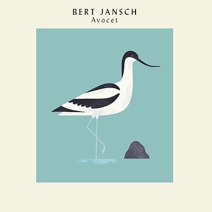 Avocet [Disco de Vinil] por Bert Jansch — capa do álbum