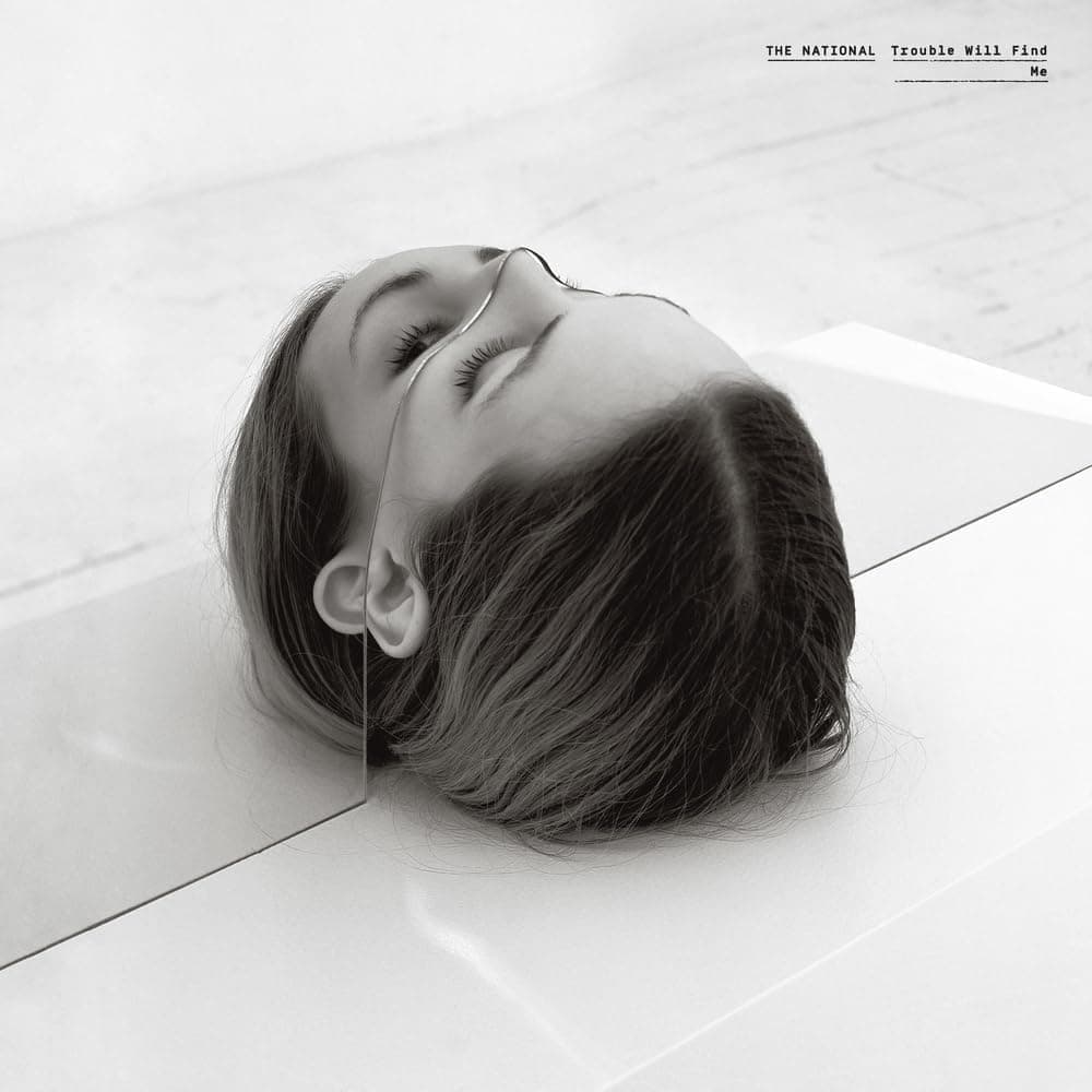 Trouble Will Find Me [Disco de Vinil] por The National — capa do álbum