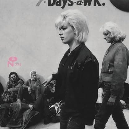 BASEMENT BEEHIVE: THE GIRL GROUP UNDERGROUND (PINK SWIRL/2LP) por 26 out. 2025 — capa do álbum