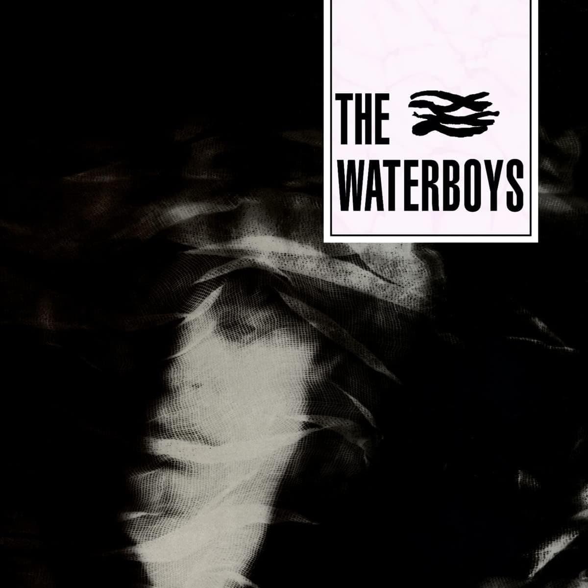 Waterboys [Disco de Vinil] por The Waterboys — capa do álbum