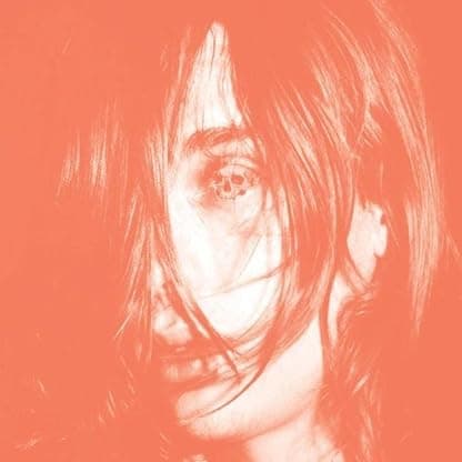 Microcastle [Disco de Vinil] por Deerhunter — capa do álbum