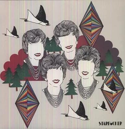 Starfuckers [Disco de Vinil] por Strfkr — capa do álbum