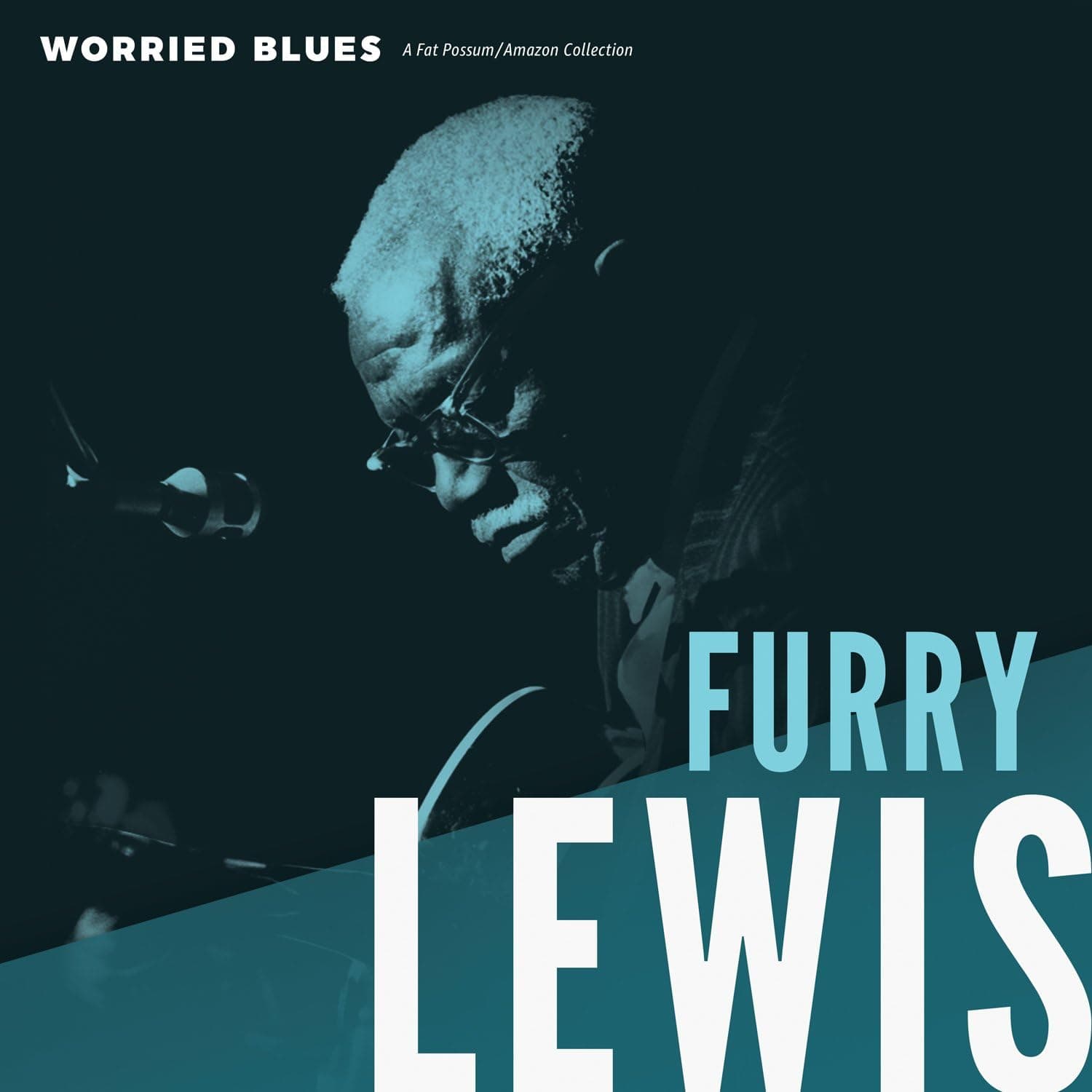 Worried Blues [Disco de Vinil] por Artista não identificado — capa do álbum