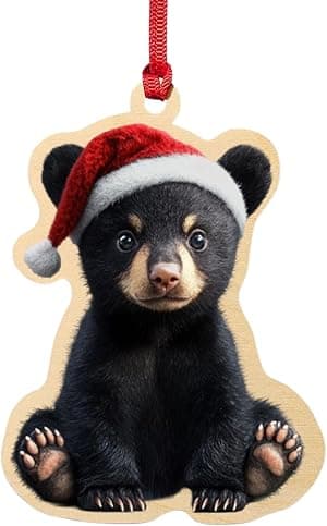 Urso preto com enfeite de chapéu de Papai Noel – Decoração de Natal de madeira de bétula – Rústico por Artista não identificado — capa do álbum