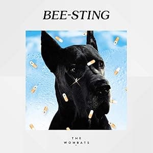 Bee-Sting [Disco de Vinil] por Wombats — capa do álbum
