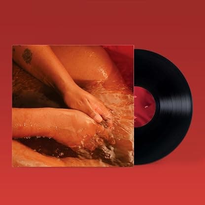 I Killed Your Dog por L'Rain — capa do álbum