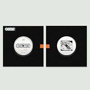 Low Era / Smoke In Japan [Disco de Vinil] por Geese — capa do álbum