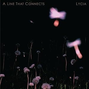 A Line That Connects [Disco de Vinil] por Músicas MP3 — capa do álbum