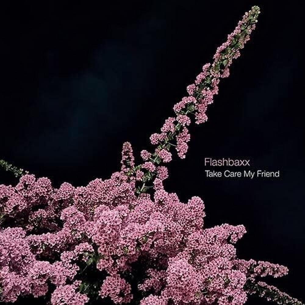 TAKE CARE MY FRIEND por Flashbaxx — capa do álbum