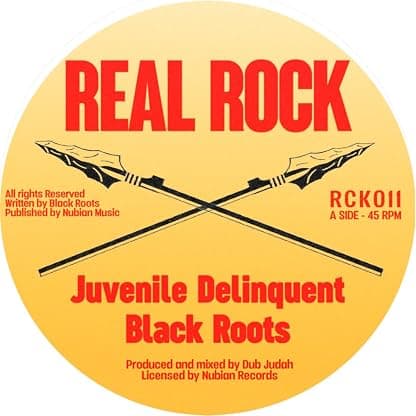 Juvenile Delinquent / Dub The Youth por Black Roots — capa do álbum