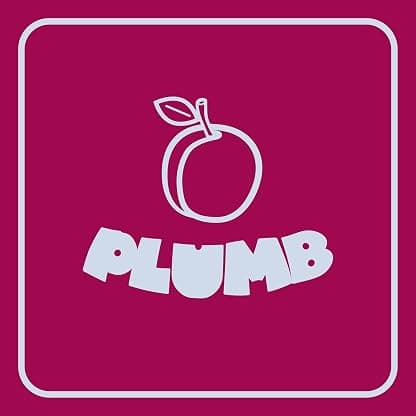 PLUMB por Ray Angry — capa do álbum