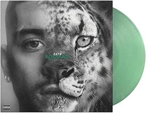 KONNAKOL[Swimming Through Seas LP] por ZAYN — capa do álbum