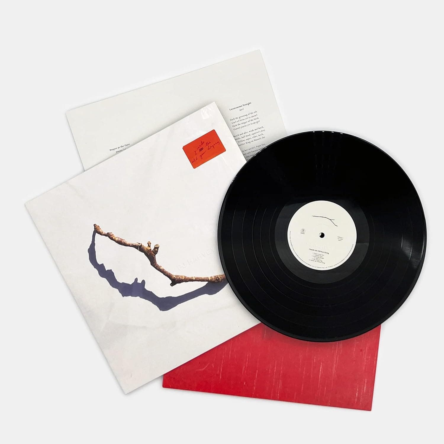 I Inside the Old Year Dying[LP] por PJ Harvey — capa do álbum
