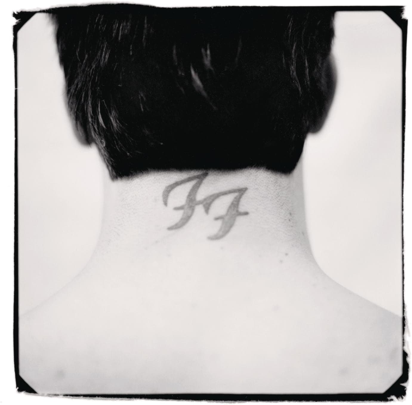 There Is Nothing Left to Lose [Disco de Vinil] por Foo Fighters — capa do álbum