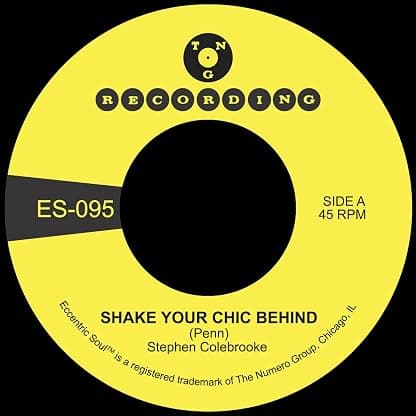 Shake Your Chic Behind B/W Stay Away From Music por Stephen Colebrooke — capa do álbum