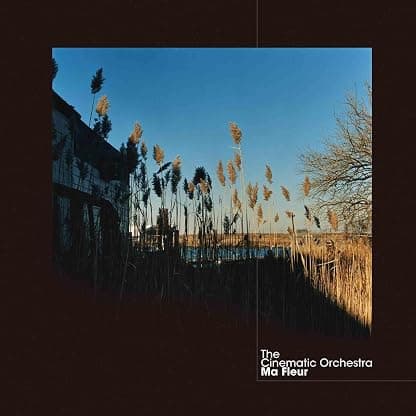Ma Fleur [Disco de Vinil] por The Cinematic Orchestra — capa do álbum