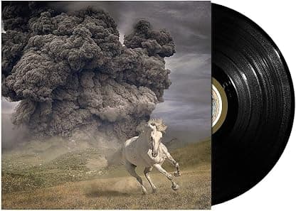 Year Of The Dark Horse [LP] por Dark Dark Horse — capa do álbum