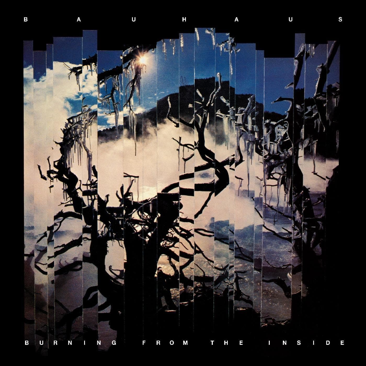 Burning From The Inside [Vinyl] Bauhaus por Bauhaus — capa do álbum