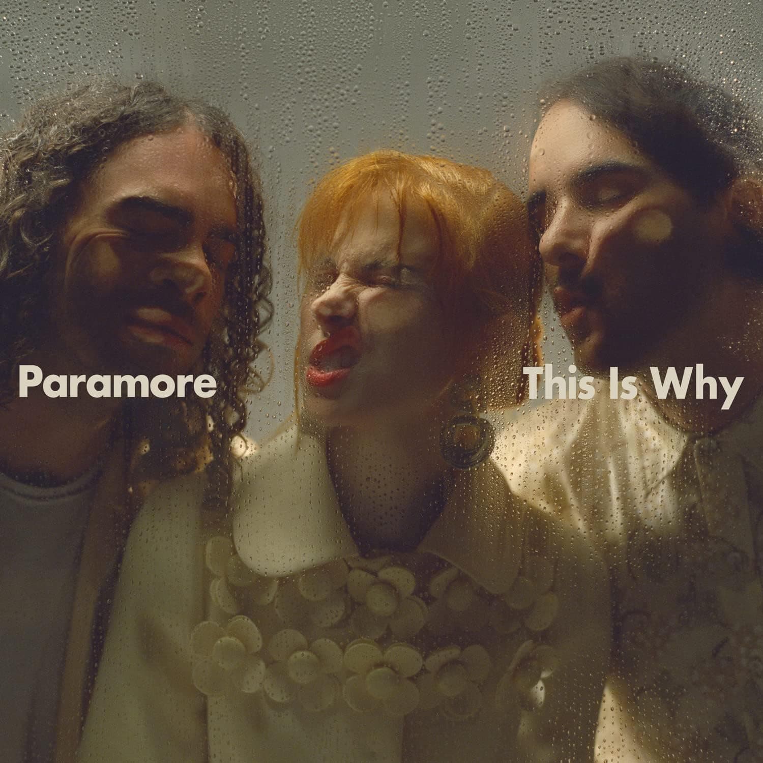 This Is Why [Vinyl] Paramore por Músicas MP3 — capa do álbum