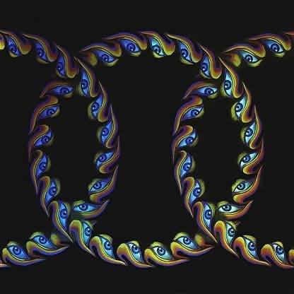 Lateralus [Disco de Vinil] por TOOL — capa do álbum
