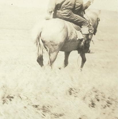 Langhorne, Bruce : Hired Hand / O.S.T. [Disco de Vinil] por Bruce Langhorne — capa do álbum