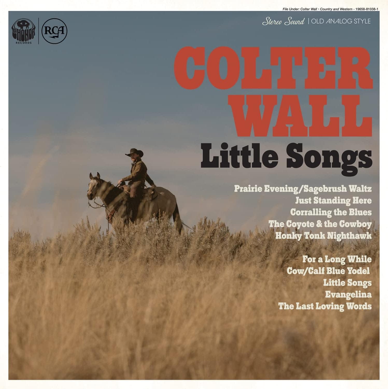 Little Songs [12 inch Analog] por Colter Wall — capa do álbum