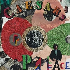 Youth Is Wasted On The Young [Disco de Vinil] por Caesars — capa do álbum