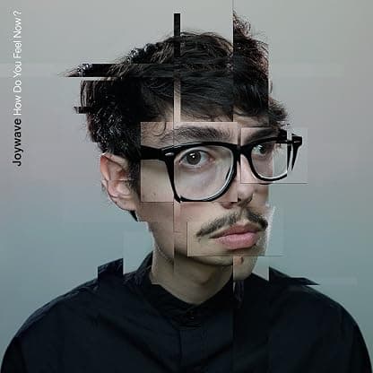 How Do You Feel Now [Disco de Vinil] por Joywave — capa do álbum