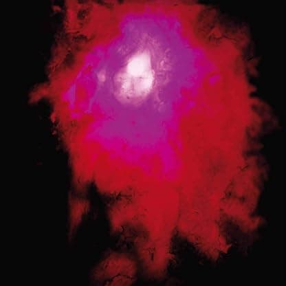 UP THE DOWNSTAIR (2LP/140G/GATEFOLD SLEEVE) por The National — capa do álbum