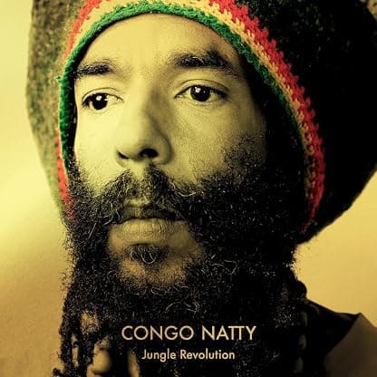 JUNGLE REVOLUTION (YELLOW & GREEN VINYL/2LP/140G) por Congo Natty — capa do álbum