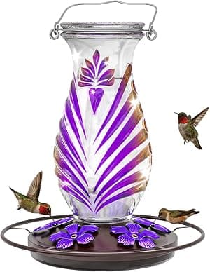 Alimentador de beija-flor para ambientes externos, alimentador de néctar de vidro de 680 g com poleiro e 5 portas de alimentação de flores, alimentador de pássaros suspenso à prova de vazamento para por Artista não identificado — capa do álbum