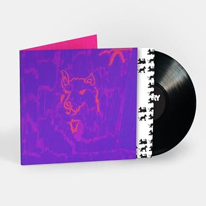 Poetry por Dehd — capa do álbum