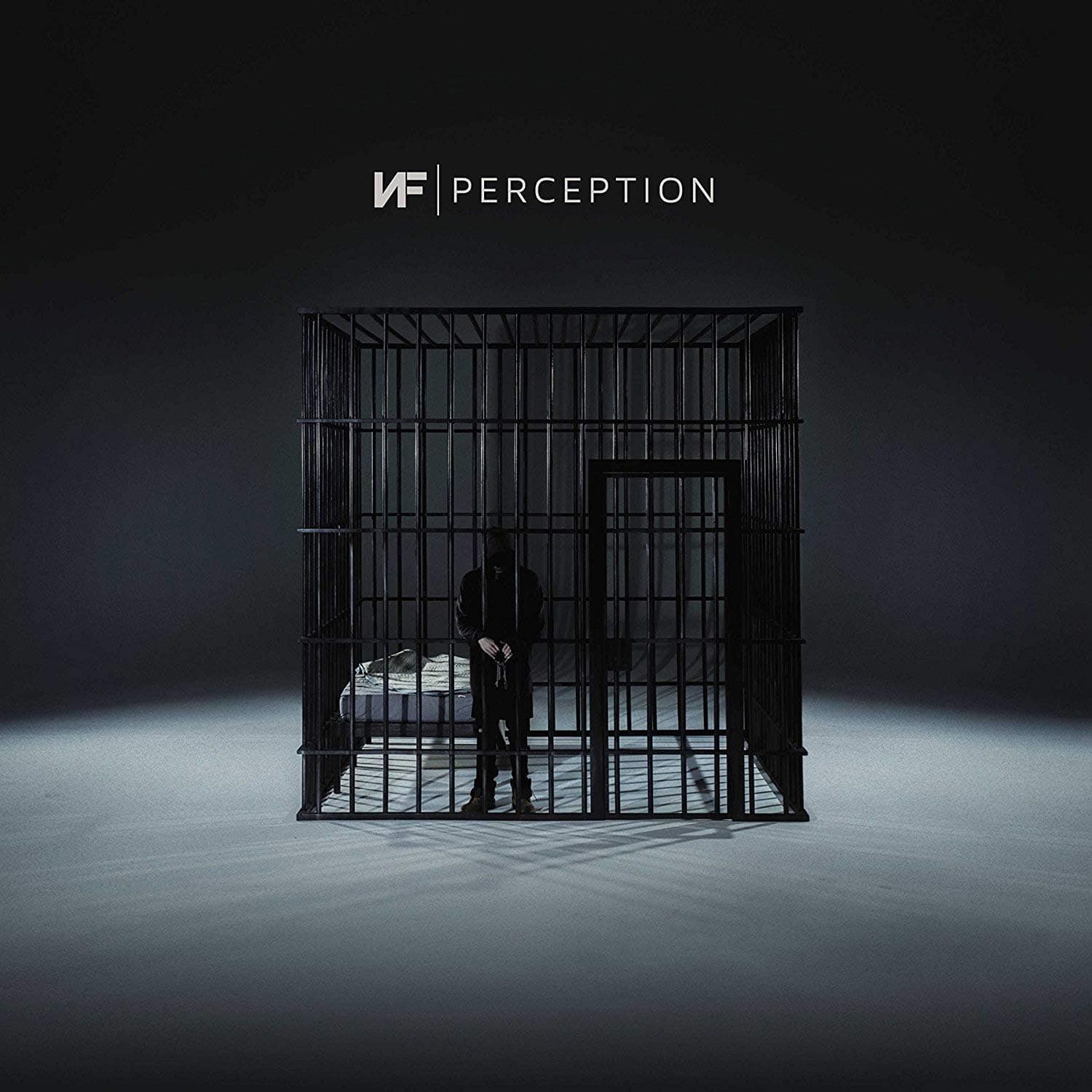 Perception [Disco de Vinil] por NF — capa do álbum
