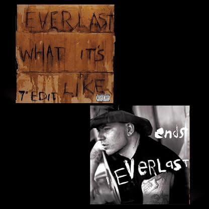 WHAT IT'S LIKE/ENDS por Everlast — capa do álbum